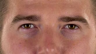 Image result for Male Eyes Close Up Photography