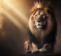 Image result for Lion Crown