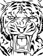 Image result for Tiger Sketch Outline