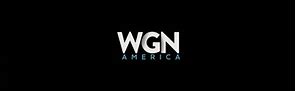 Image result for WGN Sports Logo