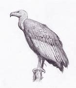 Image result for Vulture Representation