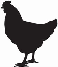 Image result for Chicken Silhouette