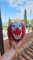 Image result for Canada Flag Ball Plush PWA