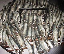 Image result for Tam Ban Fish