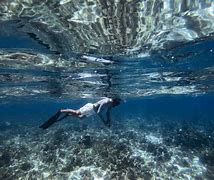 Image result for Snorkeling Pool