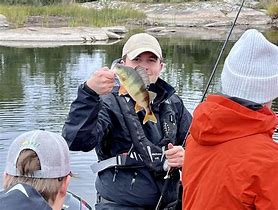 Image result for Perch Fishing