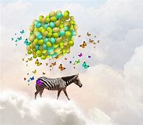 Image result for Flying Zebra