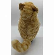 Image result for Cat Puppets Orange Tabby Cat