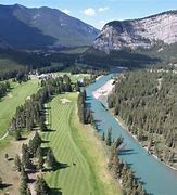 Image result for Wildlife On Banff Golf Course