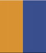 Image result for WVSU Colors