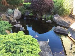 Image result for Aquascape Pond