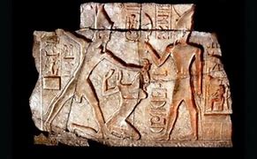 Image result for Archaeological Anthropology