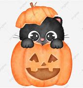 Image result for Hallowen Cat Pumpkin