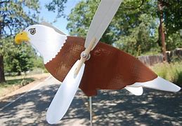 Image result for Bald Headed Eagle Whirligig