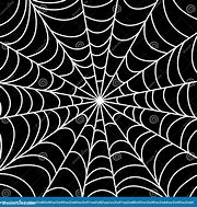 Image result for Spider Web Texture