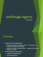 Image result for Anti Fungi