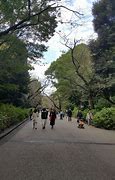 Image result for Ueno Park Banana