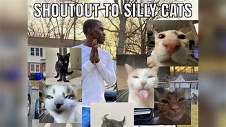 Image result for Cat Smiling Meme Silly