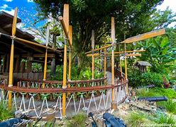 Image result for Swiss Family Robinson Treehouse Disney