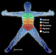 Image result for 5 Prana Vayus