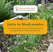 Image result for Biodynamic Herb Garden