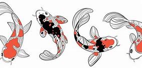 Image result for Koi Virus