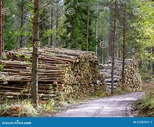 Image result for Logging Road Height Map