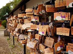 Image result for Explore Ueno Park