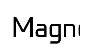 Image result for Magneto Inverter Logo