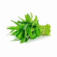 Image result for Kangkong in English Vegetable