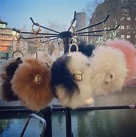 Image result for Pom Pom Pom Pom Pom Pomity Pom