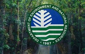 Image result for DENR Background HD