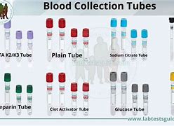 Image result for Vacutainer Blood Vial