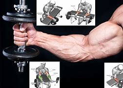 Image result for Best Forearm Exercises for Men