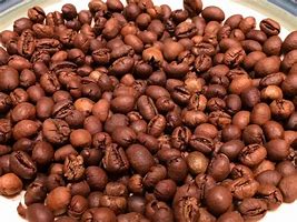 Image result for Euca Robusta