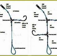 Image result for Shore Fishing Rigs