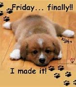 Image result for Happy Friday Finally