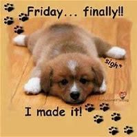 Image result for Happy Friday Finally