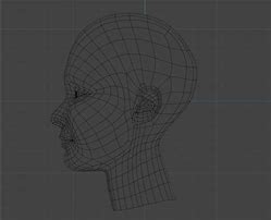 Image result for 3D Human Head Model