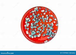 Image result for Nest Plate Mold