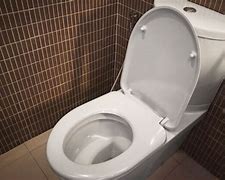 Image result for Loose Toilet Seat