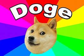 Image result for doge meme cute