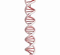 Image result for DNA Double Helix Wallpaper