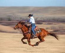 Image result for Riding Fast Horse with Sombraro On