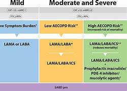 Image result for Lama with Sideburns