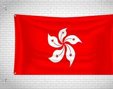 Image result for Hong Kong Flag Drawing