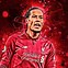 Image result for Van Dijk Jersy