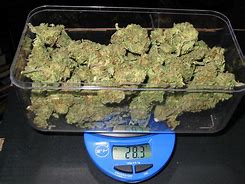 Image result for 20 Grams Weed