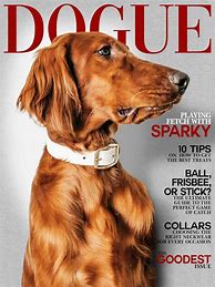 Image result for Pet Magazine Covers