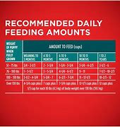 Image result for Puppy Feeding Amount Chart